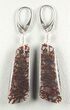 Spiderweb Agatized Dinosaur Bone (Gembone) Earrings #84743-1